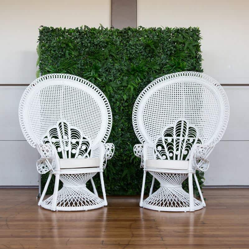peacock-chair-3 peacock chairs and flower wall