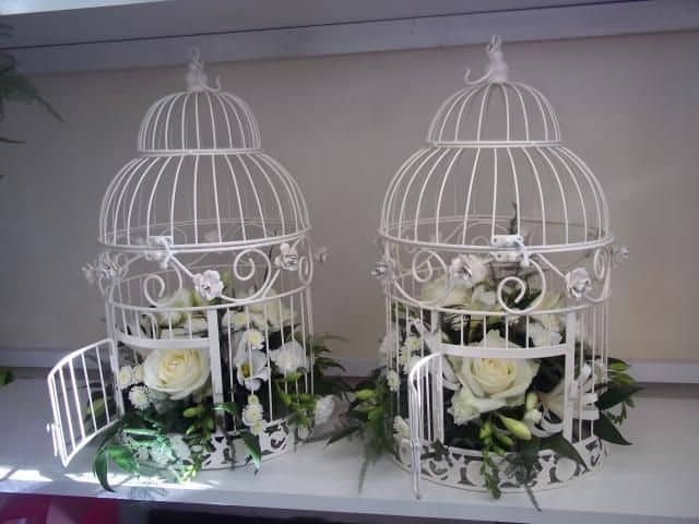 bird cage for hire