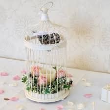 bird cage for hire