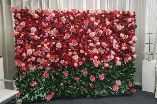 green foilage and pink, red and white rose flower wall