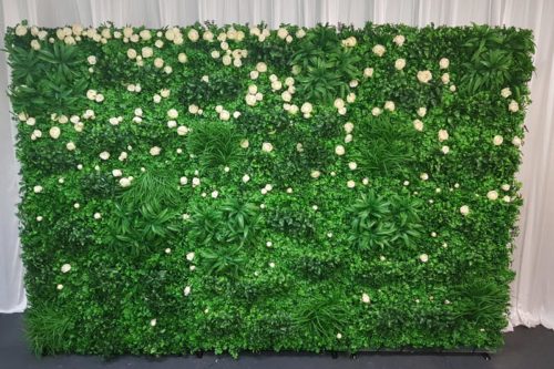 green lush foilage and white rose flower wall