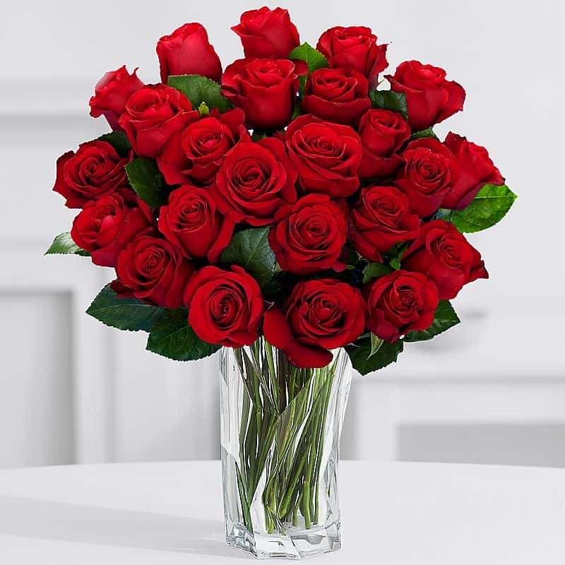 24 red roses