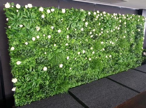 lush green flower wall with white roses