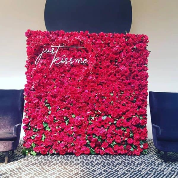 Fiery Red Flower Wall - Image 3