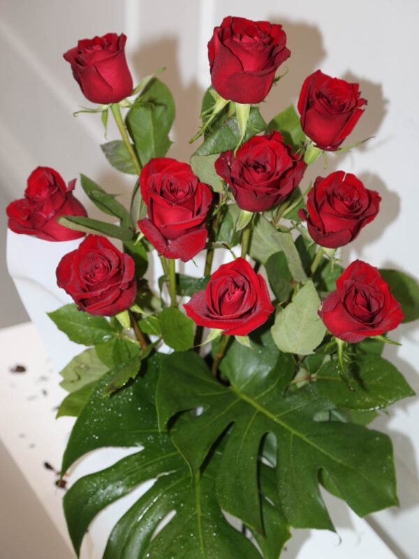 10 roses in a box